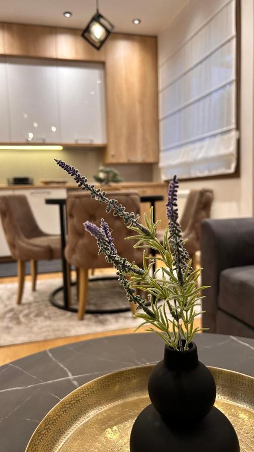 Luna-apartman 1 Zlatibor